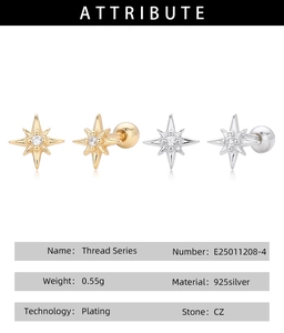 Detail view of S925 sterling silver star screw earrings with CZ stone and product specs