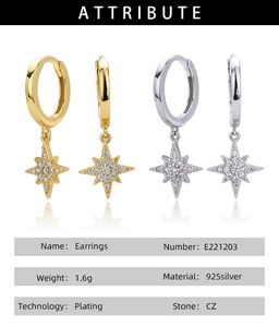 Close-up of S925 sterling silver star earrings with cubic zirconia in gold and silver