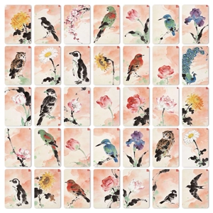 Set of 35 Chinese ink painting flower and bird decorative greeting cards on white background