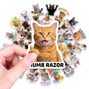 Close-up of funny orange cat sticker with various meme cat decals for laptop decoration
