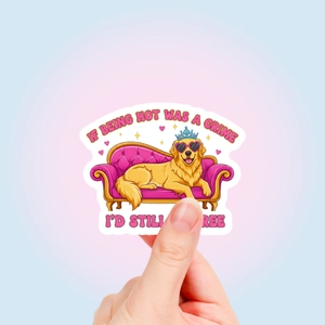Funny Golden Retriever sticker on pink sofa with humorous English text quote