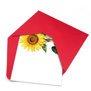 Bloemenwenskaartenset met rode envelop en aquarel zonnebloem illustratie op wit papier