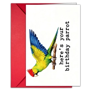 Close-up of birthday card with watercolor parrot illustration and red envelope