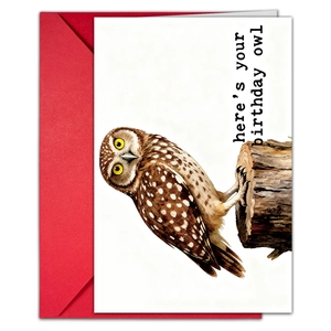 Detail of owl birthday card with red envelope and 'here's your birthday owl' text