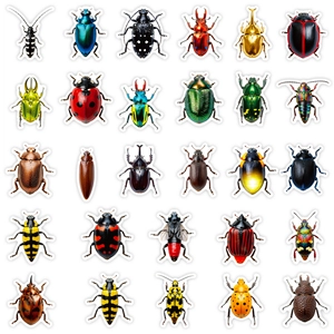 Pack of realistic colorful beetle stickers for DIY crafts and ecological theme decor