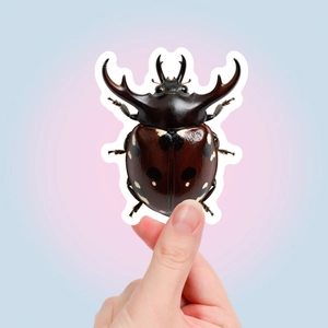Detail of realistic beetle sticker with glossy finish and die-cut edges held by hand