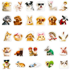 Cute animal stickers set featuring funny pets with sunglasses for scrapbooking decor