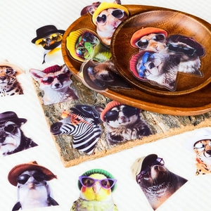 Détail d'autocollants PET imperméables d'animaux avec lunettes sur décor en bois
