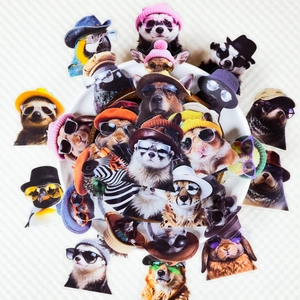 Stickers animaux avec lunettes et chapeaux en PET imperméable sur plateau blanc