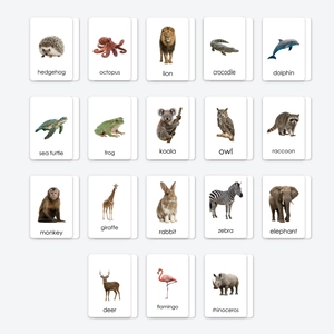 Animal Educational Flashcards For Toddlers Real Photography Bilingual Learning Cards Early Development Montessori Learning Toys