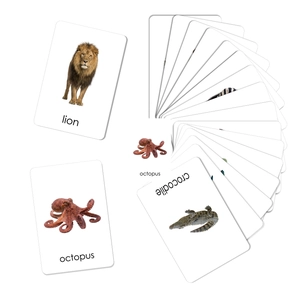 Detail of bilingual animal flashcards with clear real-life photos for early education