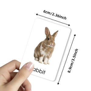 Educational animal flashcard featuring a real rabbit image with 6x8.9cm dimensions
