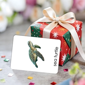 Educational animal flashcard featuring a sea turtle against festive holiday gift box