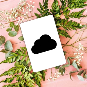 Minimalist white card with black cloud icon on pink wood background with green leaves
