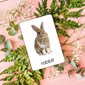 Detailed close-up of rabbit animal flashcard with clear text on a floral wood background