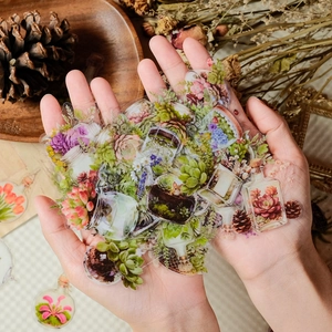 50pcs green floral and succulent waterproof PET stickers set for suitcase decoration