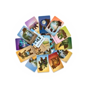 Artistic bear silhouette cards showing diverse nature landscapes and fantasy scenes