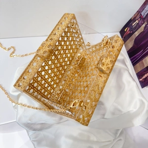 Macro detail of the woven texture and golden chain on this acrylic evening clutch bag