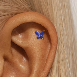 Macro shot of blue butterfly ear bone stud with gold beads worn on the conch