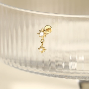 Detail von S925 Sterlingsilber Goldohrringen mit Sternen-Zirkonia am Glasrand