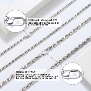 Collana a catena in argento sterling S925 con chiusura a moschettone e punzone