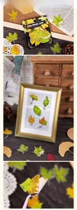 Detailed view of translucent PET maple leaf stickers with realistic vein textures