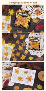 Close-up of translucent maple leaf stickers for journaling with realistic fall textures