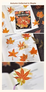 Macro shot of maple leaf PET stickers with gold foil edges for journals, 30 pieces set