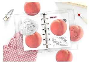 Detail of transparent PVC six-hole binder cover with peach themed illustrated pages