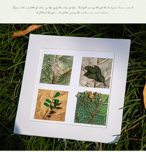 Nature-themed leaf texture art cards on green grass with sunlight shadows