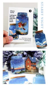 Detailed PET stickers featuring starry night bottles and bird illustrations for journaling