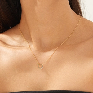 Elegance S925 silver interlocking double ring necklace with zircon on model neck