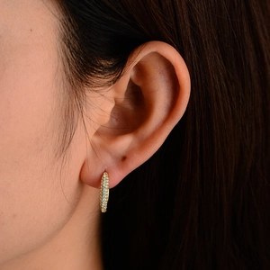 Close-up of gold hoop earring with micro-pave cubic zirconia on a model's ear