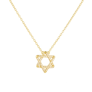 Elegant gold S925 silver hexagram pendant necklace with micro-pave zircons for women