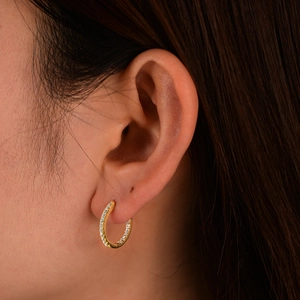 Elegant 925 sterling silver hoop earrings with gold plating and paved white zircons