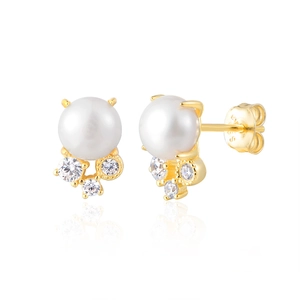 Élégantes boucles d'oreilles en argent S925 doré avec perles d'eau douce et zircone