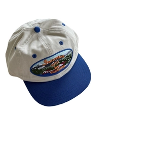 Two-tone beige and blue flat brim hip hop hat with scenic embroidery and Saturday text