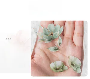 Détails d'autocollants PET transparents avec motifs de fleurs à l'aquarelle et tailles variées
