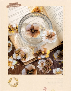 Close-up of vintage PET floral stickers with gold foil edges on old book pages