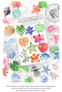 Detail of transparent PET nature stickers with lily and starfish patterns and gold accents