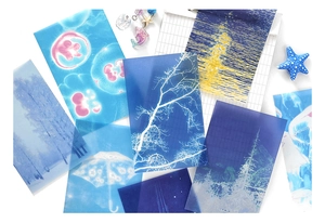 Vue détaillée de feuilles de scrapbooking sur le thème de la nature bleue avec motifs variés