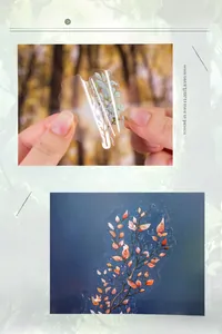 Close-up of waterproof PET tree stickers showing transparency and adhesive texture