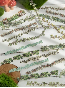 Dettaglio macro di adesivi botanici con motivi di viti, bacche e funghi su legno