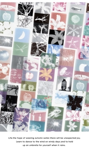 Detail of Morandi PET stickers with botanical and film aesthetic patterns for scrapbooking