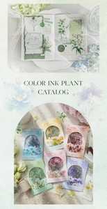 Detailopname van vintage botanische stickerset in zes kleuren voor scrapbook-indelingen