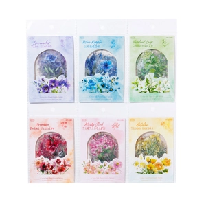 6 pakjes botanische PET-stickers met bloem- en bladmotieven in aquarelontwerpen