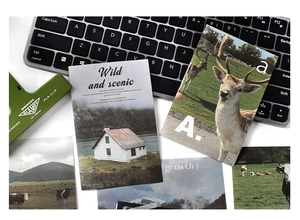 Detail showing scenic and wildlife art postcards with matte finish and artistic typography