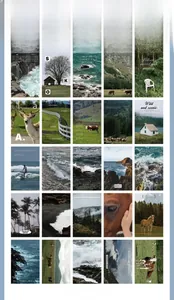 Detailed grid of twenty-five vintage natural landscape scrapbooking paper designs