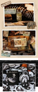 Λεπτομέρεια από vintage αυτοκόλλητα scrapbooking με θέματα άγριας ζωής και διαστήματος