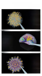 Macro detail of waterproof laser gold stamping fireworks PET stickers for DIY journals